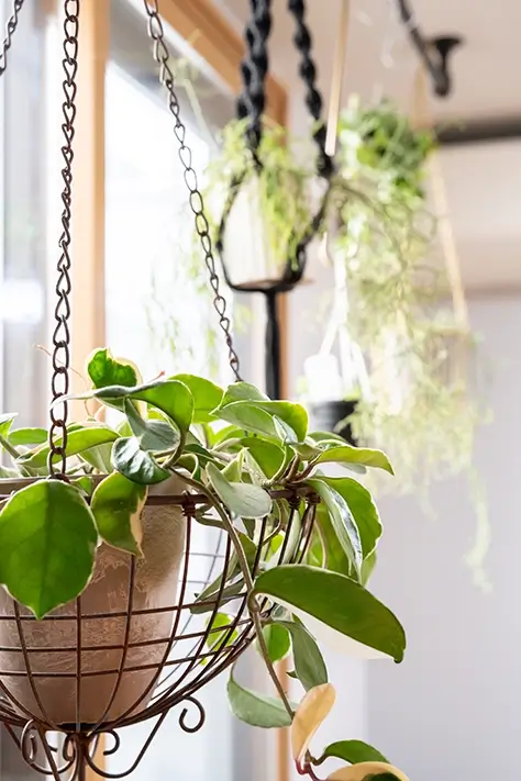 お客様インタビュー二回目の工事は内窓と天井のハンガーパイプ